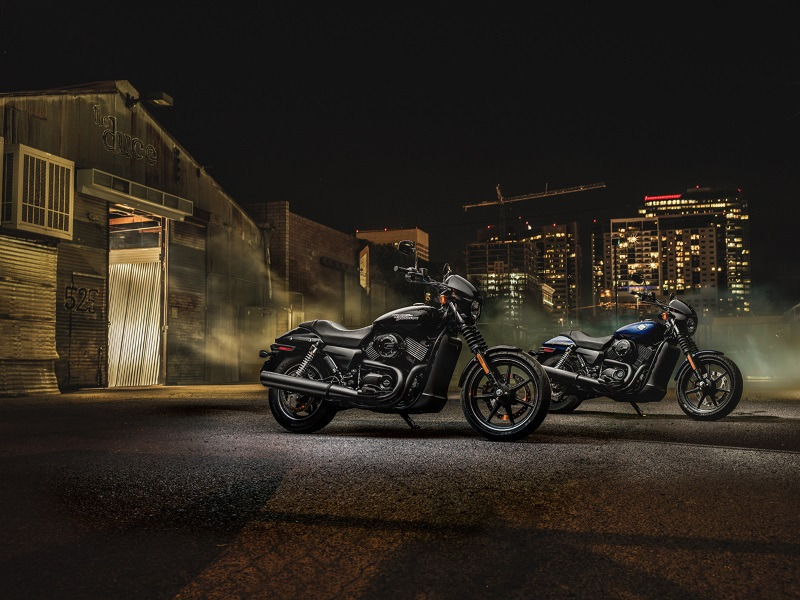 harley davidson family